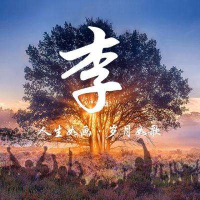 乱战三国3d游戏下载